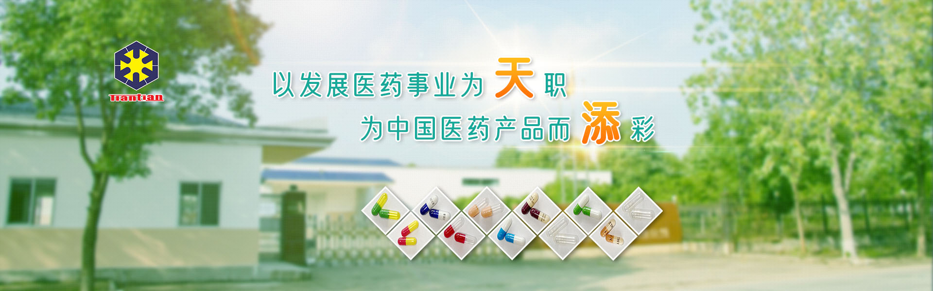 百得燃燒機,利雅路燃燒機,燃燒器配件,燃燒機配件,低氮燃燒機,上海威敬機電設備